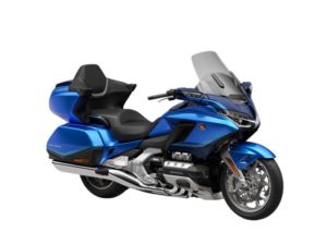 Alidoro goldwing deals